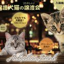 熊本の保護犬猫たのしい譲渡会『アダプション・パークVol.16』1/19(土)1/20(日)