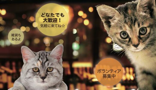 熊本の保護犬猫たのしい譲渡会『アダプション・パークVol.16』1/19(土)1/20(日)
