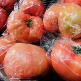 【熊本名物研究】トマト生産量全国第1位！熊本のブランド“はちべえ”はただのトマトではなかった！