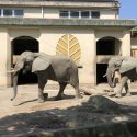 熊本市動植物園“チョッ”と私的な“パー”フェクトガイド！？ライオンが間近で見れる！！孫悟空もいる！？