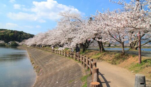 立岡自然公園（公園・観光スポット）宇土市花園町