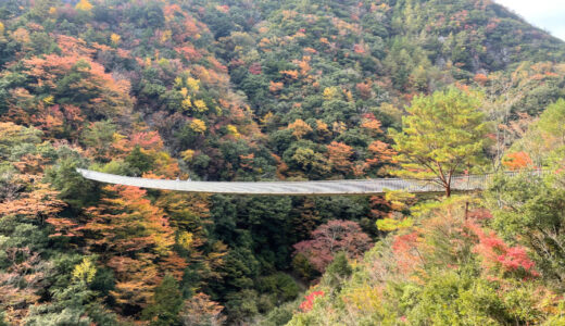 【スリル満点】揺れる吊り橋で絶景が見られる？熊本の五家荘（ごかのしょう）で紅葉を楽しもう