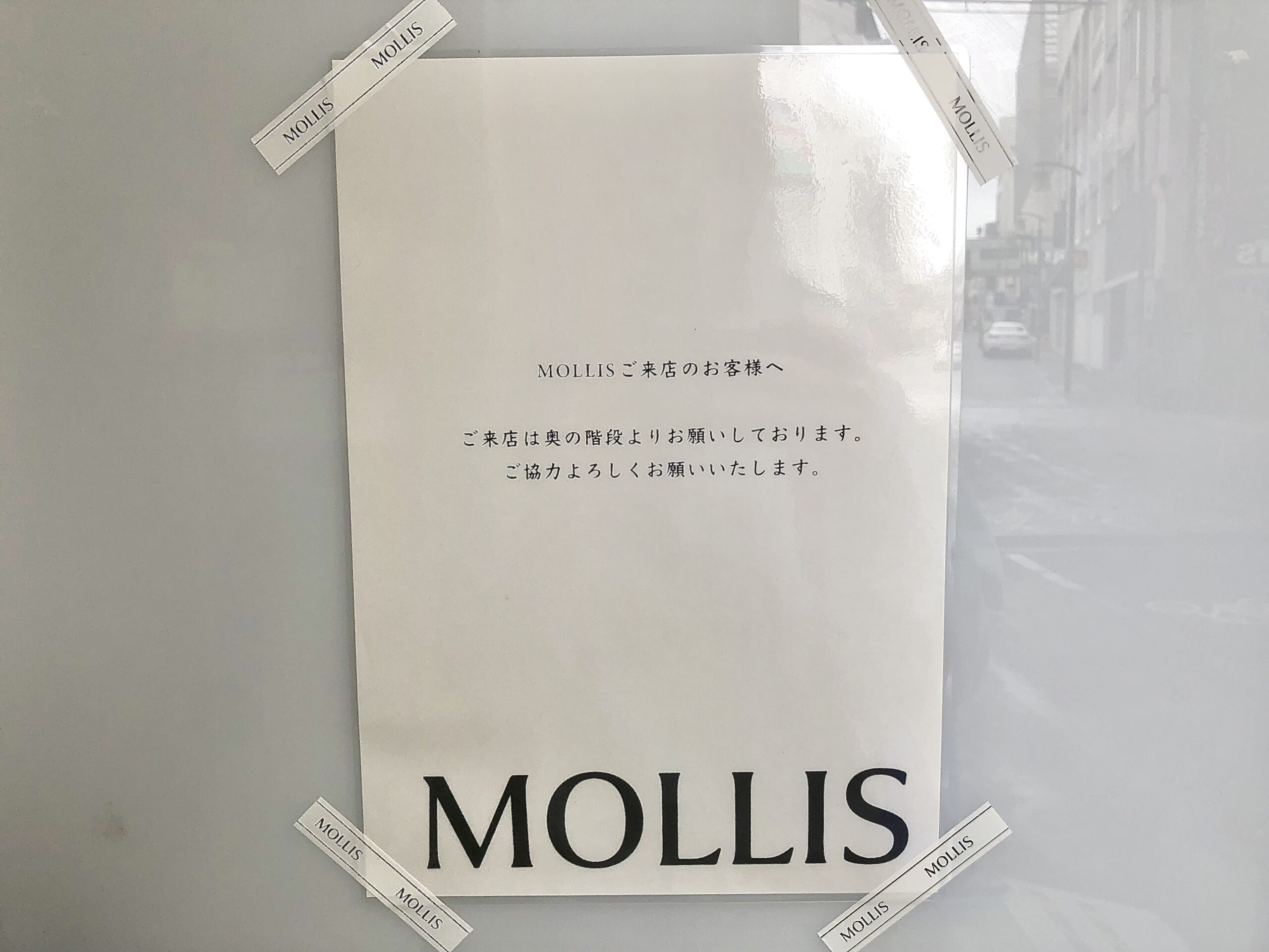 MOLLIS